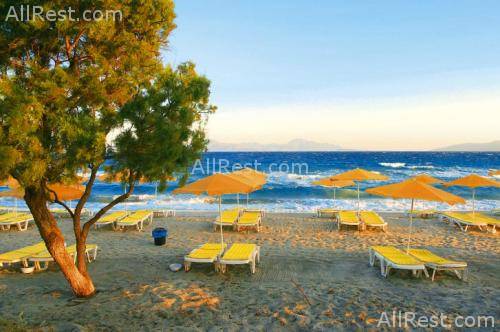 Magic Life Kos 15